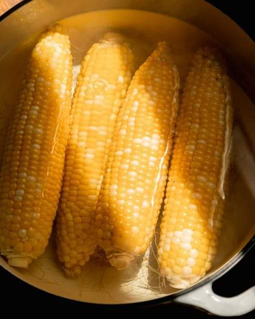 How Long Does It Take to Boil Corn on the Cob for Ideal Cooking?