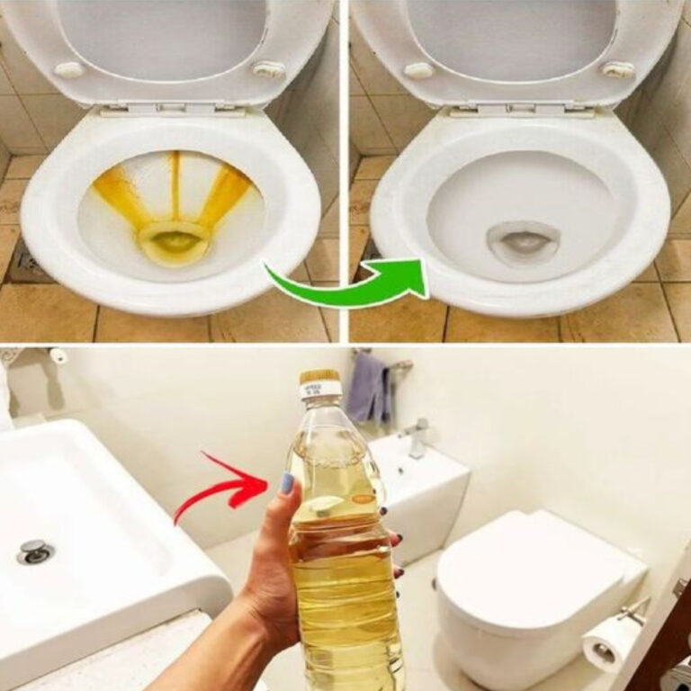 Vinegar in the toilet: solves an annoying and very common problem