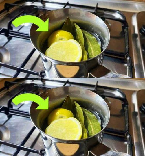 Boil lemon and bay leaves you can’t imagine all the benefits