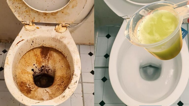 DIY Toilet Limescale Remover: Powerful Solution with Salt and Vinegar