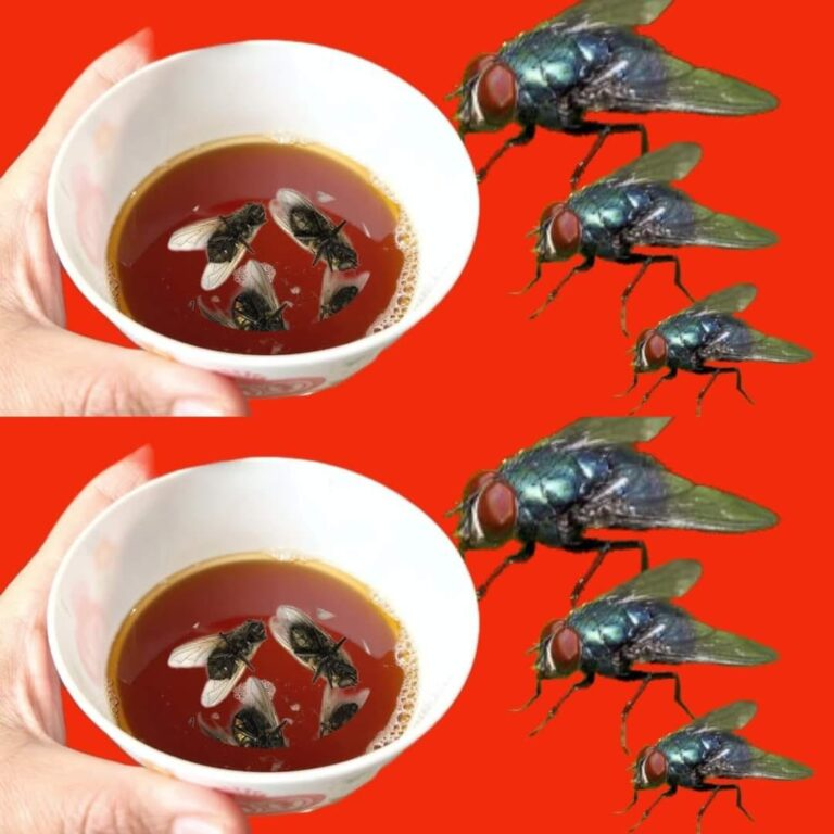 Get Rid of Flies Faster Than Ever! They Fly to This Like Crazy