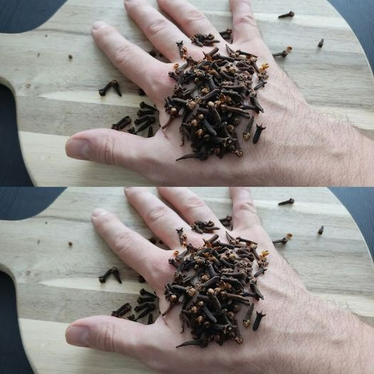 An Unexpected Findout About Cloves’ Incredible Hand-Refreshing Effects