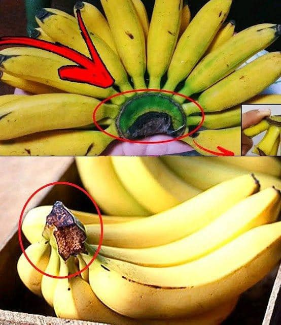 Do Not Discard This Banana Part; It Has Practical Uses Around the House.