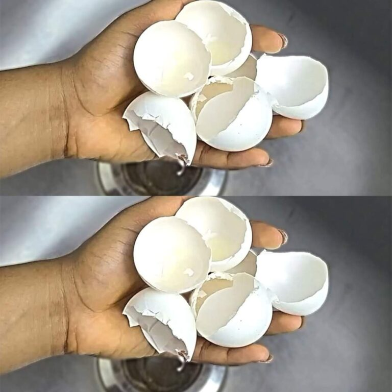 Eggshells Are Priceless You Shouldn’t Throw Them