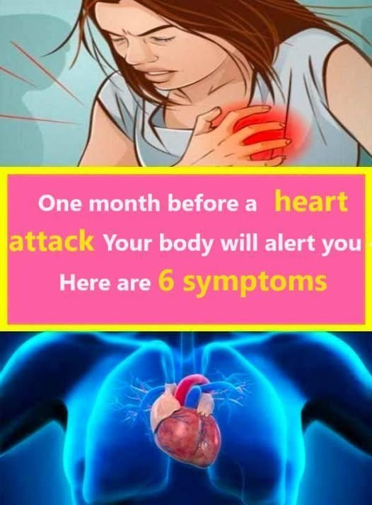 One Month Before a Heart Attack, Your Body Will Alert You: Here Are the 6 Symptoms!