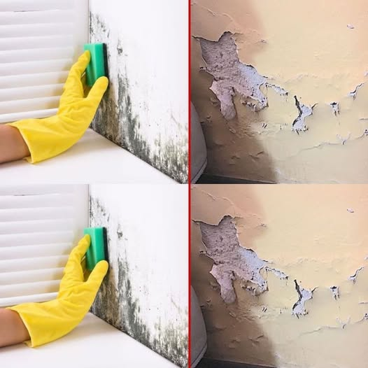 Damp in the house? With this remedy you can eliminate it and perfume the whole house!