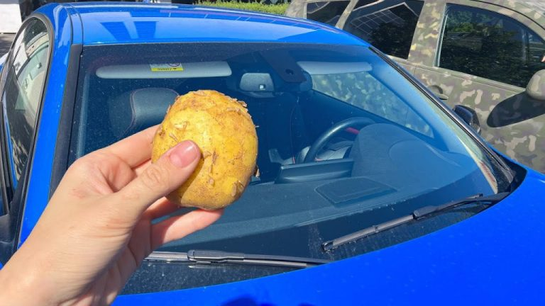 The Surprising Lifesaver: A Potato in Your Car