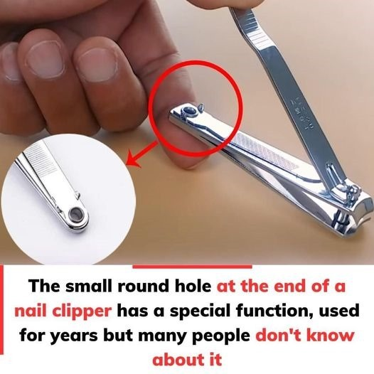 The “small round hole” on the nail clipper has special and powerful uses