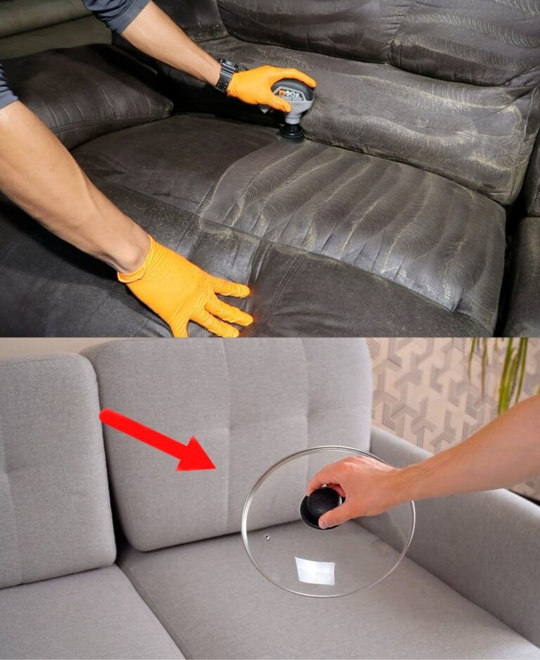 How to clean the sofa and leave everything clean